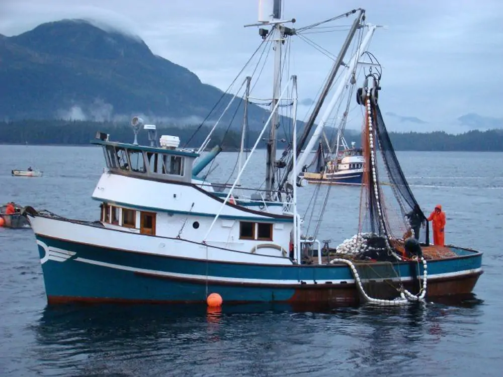 fishing boats