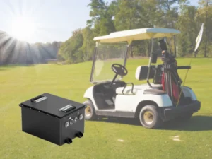 best golf cart battery