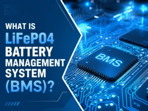 what is lifepo4 battery management system